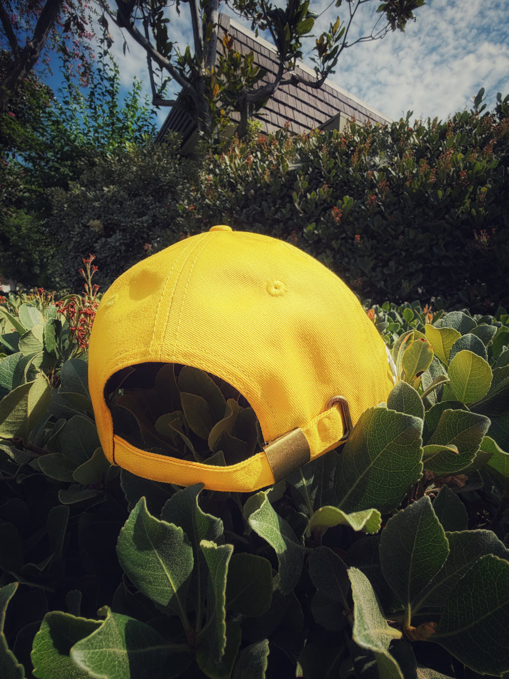 Justin Jesso - SUN Lyric Hat [Heaven Without Dying 2 of 3]