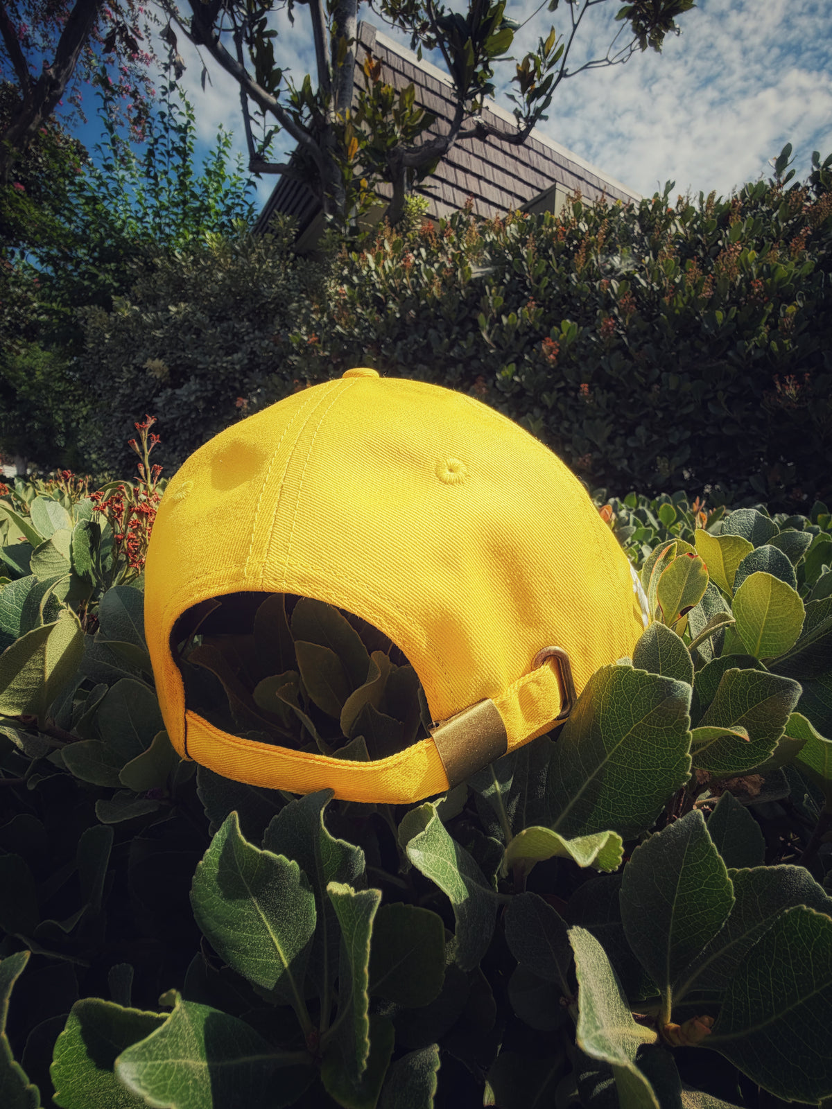 Justin Jesso - SUN Lyric Hat [Heaven Without Dying 2 of 3]